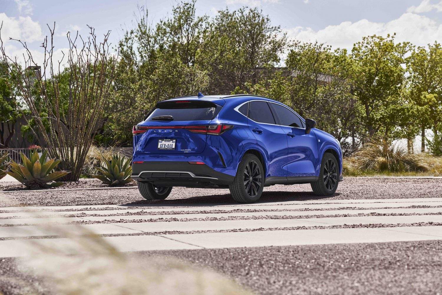 Lexus NX 7